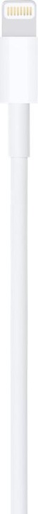 Image du produit Apple Lightning – USB A (2 m, USB 2.0)