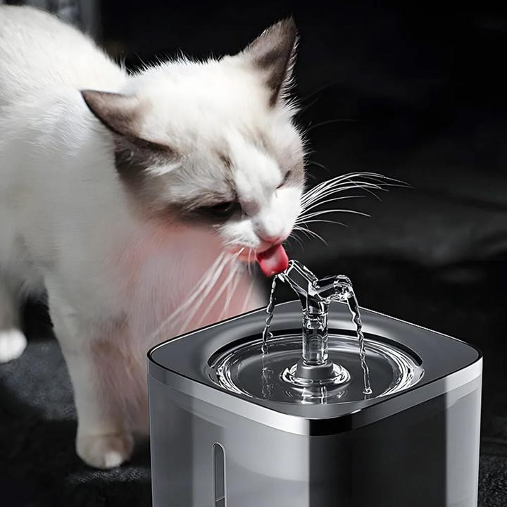 Produktbild Novidarte Haustierbrunnen (2 l)