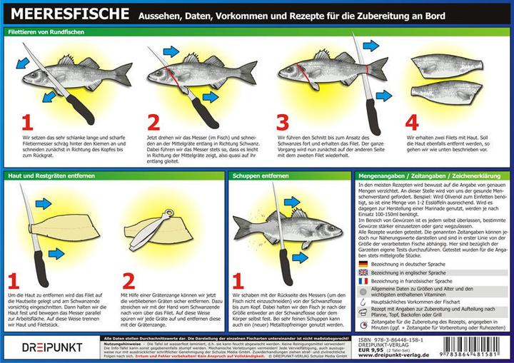 Produktbild Info-Tafel-Set Meeresfische (Deutsch, Michael Schulze, 2013)