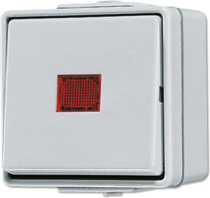 Actual product image JUNG Rocker control switch