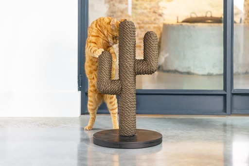 Produktbild Designed by Lotte Cactus (60 cm, Braun, Schwarz, Dunkelbraun)