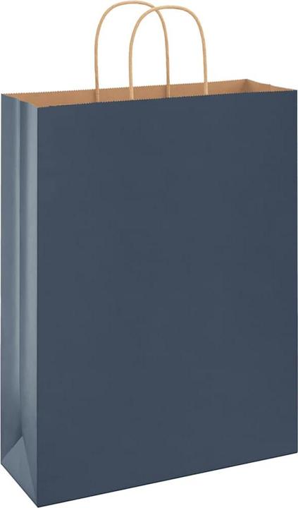 Image du produit vidaXL Papiertragetasche (250x)