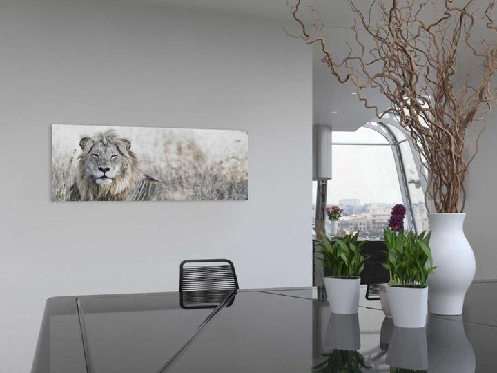 Immagine prodotto Eibert Visual Il leone in campo (57 x 150 cm)