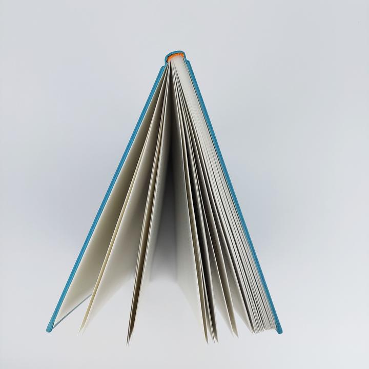 Produktbild Verbrenn das Buch danach – Ein Ausfüllbuch für Erwachsene (Hardcover) (Deutsch, David Tripolina, 2021)