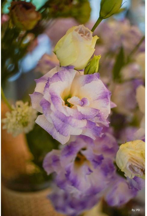 Produktbild TTArtisan 25mm f/2 Sony E (Sony E, APS-C / DX)