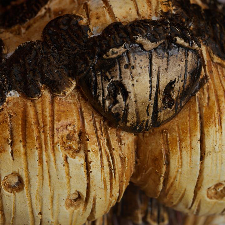 Produktbild Relaxdays Baumgesicht