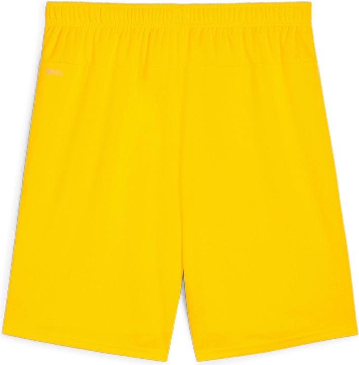 Actual product image Puma teamGOAL shorts (S)