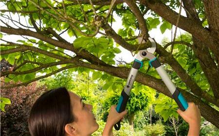 Image du produit Gardena Cisaille de branchement EasyCut 500B