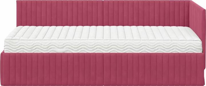 Image du produit vidaXL Plattformbett (90 x 190 cm)