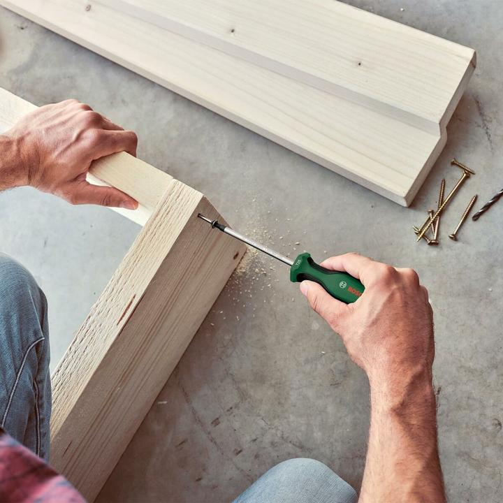 Actual product image Bosch Home & Garden Bosch Screwdriver set of 6 pieces with magnetiser (6 pieces)