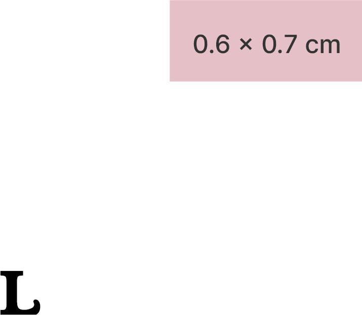 minink Temporäres Tattoo – Grossbuchstabe: L