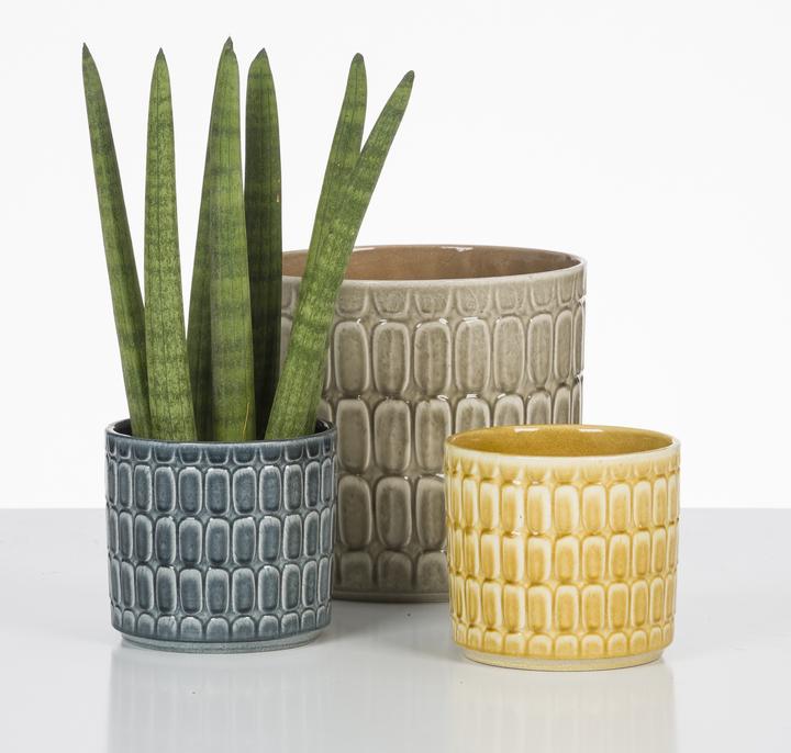 Actual product image Scheurich Lagom (16 cm)