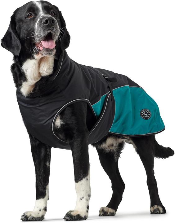 Actual product image Hunter Dog coat Uppsala Allrounder (55, Dog coat)