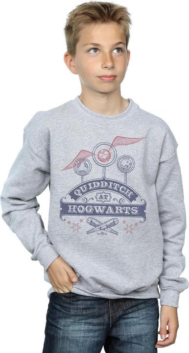 Actual product image Boys Quidditch At Hogwarts Sweatshirt (140, 146)