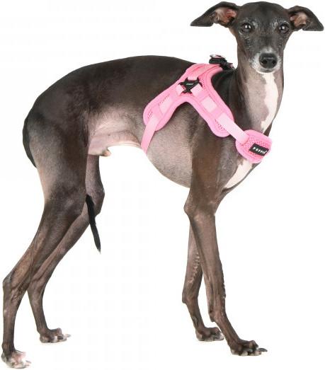 Produktbild Puppia Soft Geschirr X (L, Hund, Spazieren)