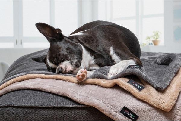 Image du produit Chiara Couverture polaire douce (Chat, Chien)