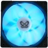 Immagine prodotto Scythe Ventola Kaze Flex RGB PWM, 300-800 rpm (120 mm, 1 x)