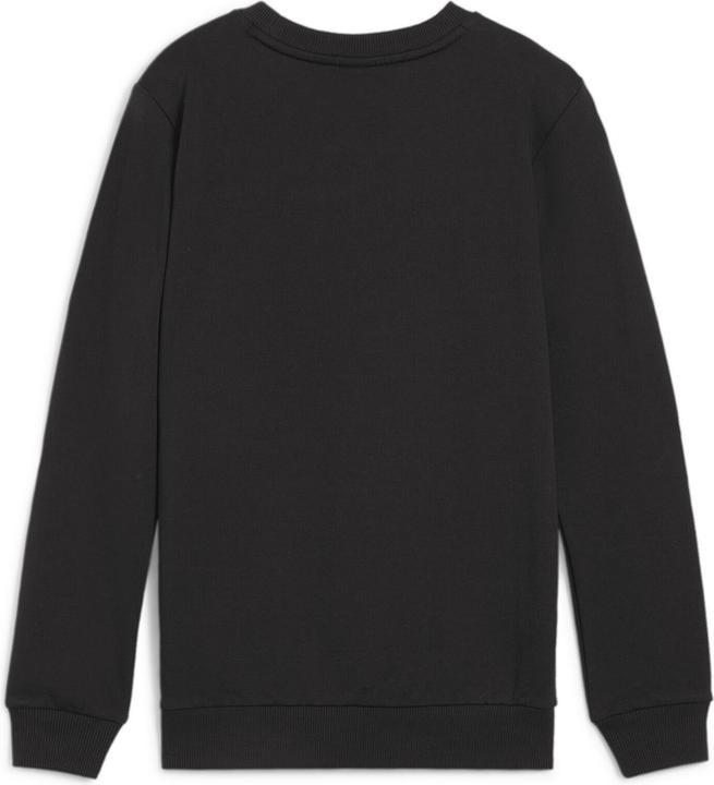Produktbild Puma teamGOAL Casuals Crew Neck Sweat Jr (140)