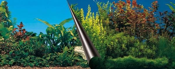 Produktbild EBI Photo Rückwand Beauty + Sea Zuschnitt (Dekoration, sonstige Gegenstände)