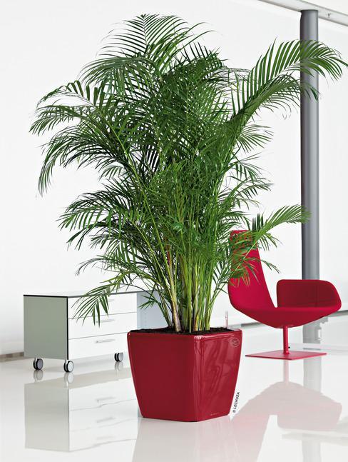 Produktbild Lechuza Quadro LS (35.50 x 35.50 x 32.50 cm)