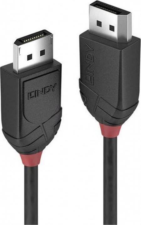 Actual product image Lindy DisplayPort — DisplayPort (3 m)