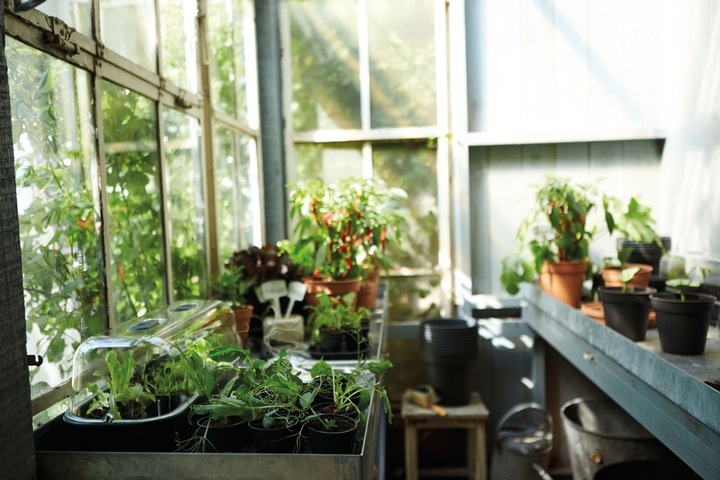 Actual product image Elho Greenbasics propagation pot set