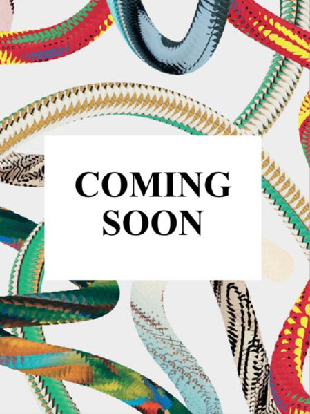 Produktbild fp-Julian Schnabel (Deutsch, Französisch, Englisch, Julian Schnabel, Louise Kugelberg, Hans Werner Holzwarth, 2024)