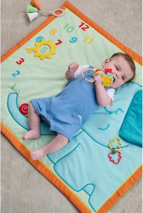 Actual product image Chicco Teething Key Ring Rattle Eco+
