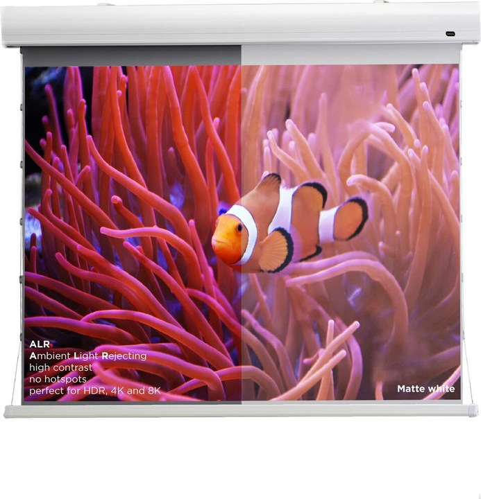 Image du produit Celexon HomeCinema Dynamic Slate ALR (120", 16:9)