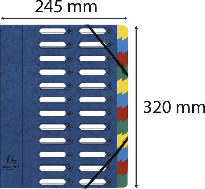 Actual product image Exacompta Folders (A4, 1 x)