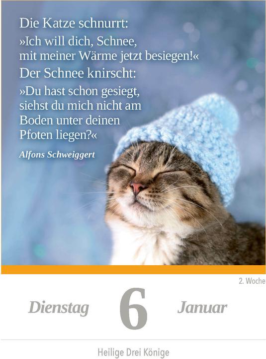 Image du produit Un chat pour chaque jour 2026 - Calendrier à effacement journalier à poser ou à suspendre (11 x 15 cm, Couverture rigide, Allemand)