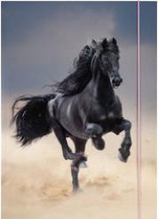 Produktbild Folia Zeichnungsmappe BASIC "Roaring Tiger", Karton, DIN A3 (A3)