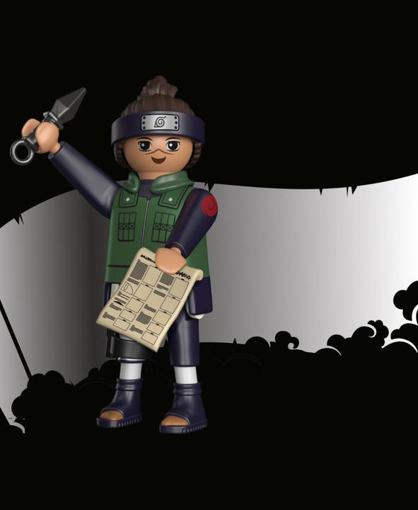 Produktbild Playmobil Iruka (71113)