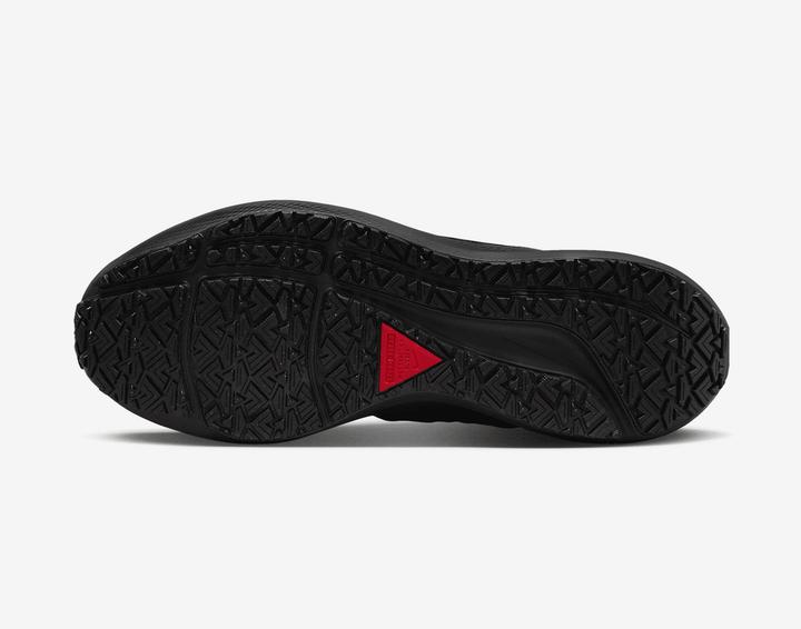 Produktbild Nike Air Zoom Pegasus 39 Shield (41)