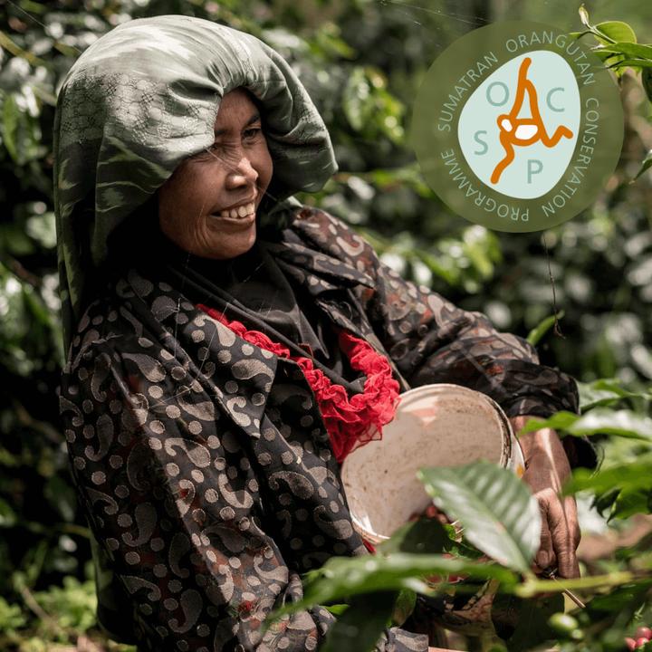 Produktbild Tropical Mountains Sumatra Orang Utan (1000 g, Mittlere Röstung)