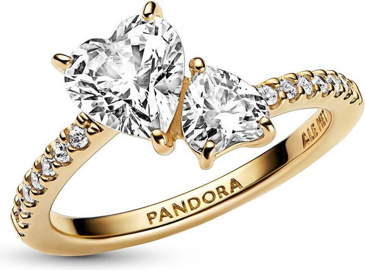 Produktbild Pandora Doppel Herz (60)