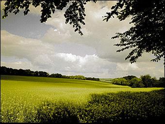 Immagine prodotto Cokin A125L Filtro graduato tabacco 2 light (67 mm)