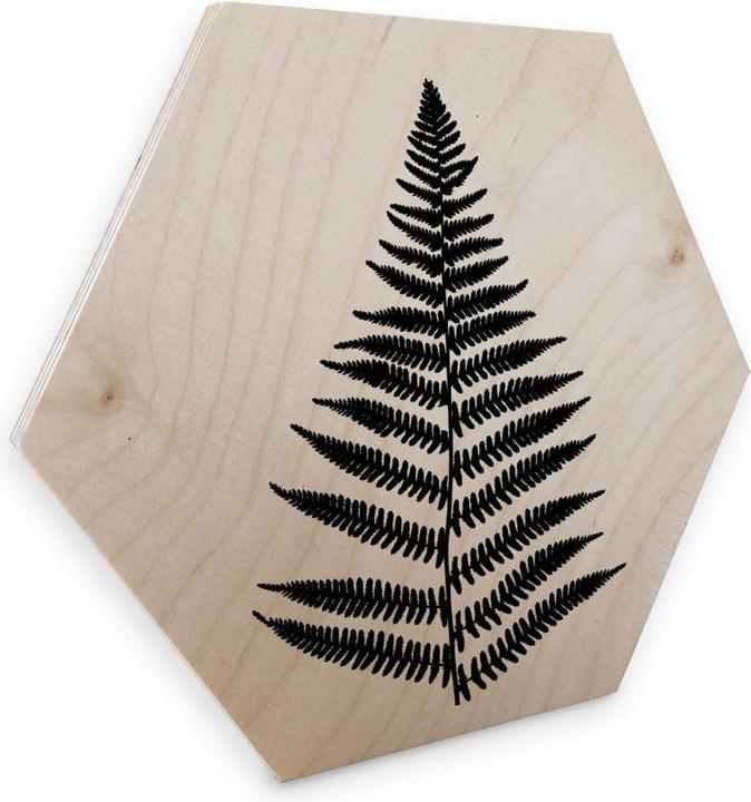 Image du produit Trenddeko Fern (25 x 22 cm)