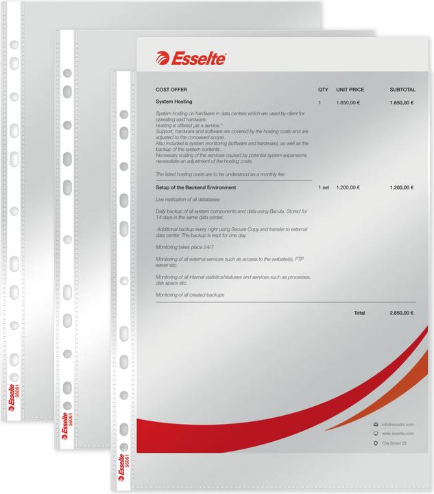 Actual product image Esselte Plastic Pocket Standard (A4, 10x)
