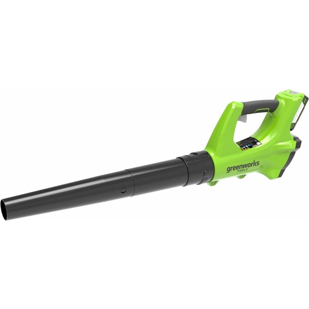 Greenworks, Aspirafoglie + Soffiafoglie, Mariangela (Batteria ricaricabile, Soffiafoglie)