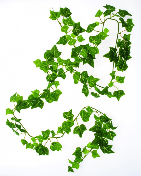 Immagine prodotto Glorex Ghirlanda di edera 147 foglie 165 cm (165 cm)