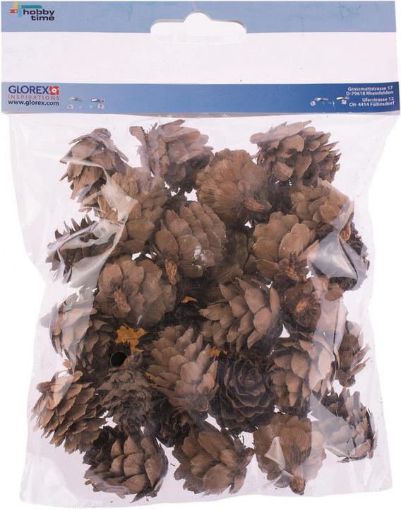 Image du produit Glorex Pomme de pin petite 60g 2-3cm