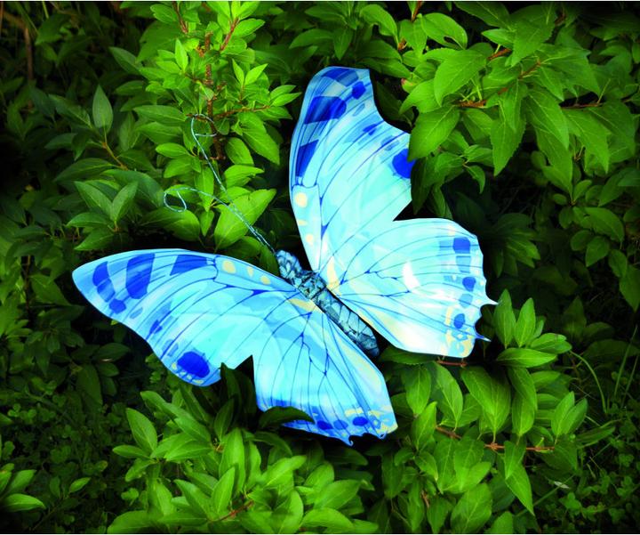 Immagine prodotto Glorex Schmetterling 3-fach sortiert