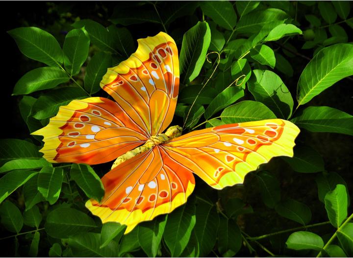 Actual product image Glorex Butterfly 3 assorted