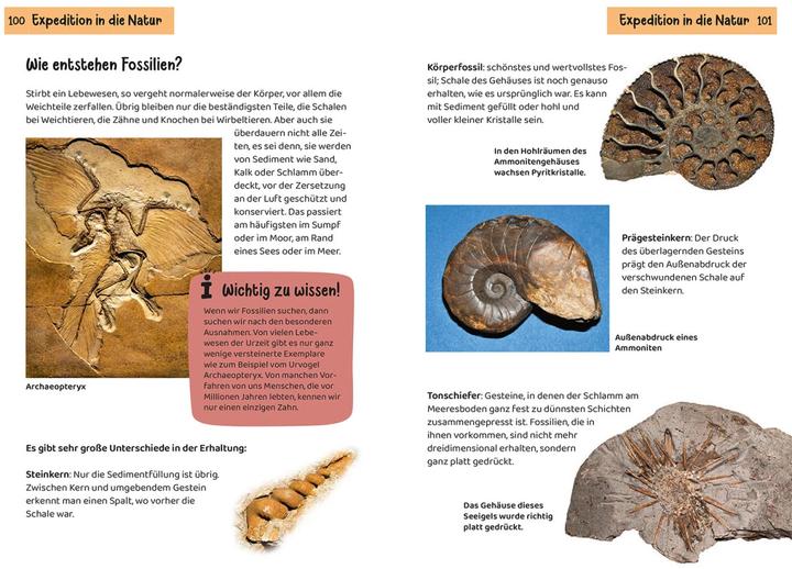 Actual product image Kosmos Welcher Stein ist das? Kindernaturführer (German, Rupert Hochleitner, 2023)