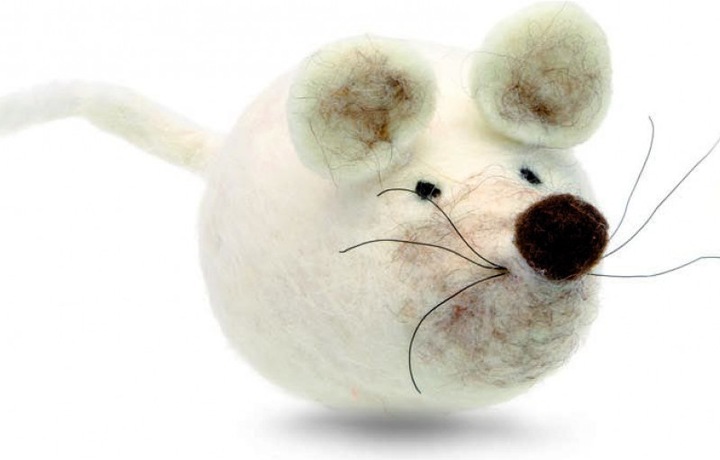 Produktbild Glorex Filz-Creativ-Set Maus