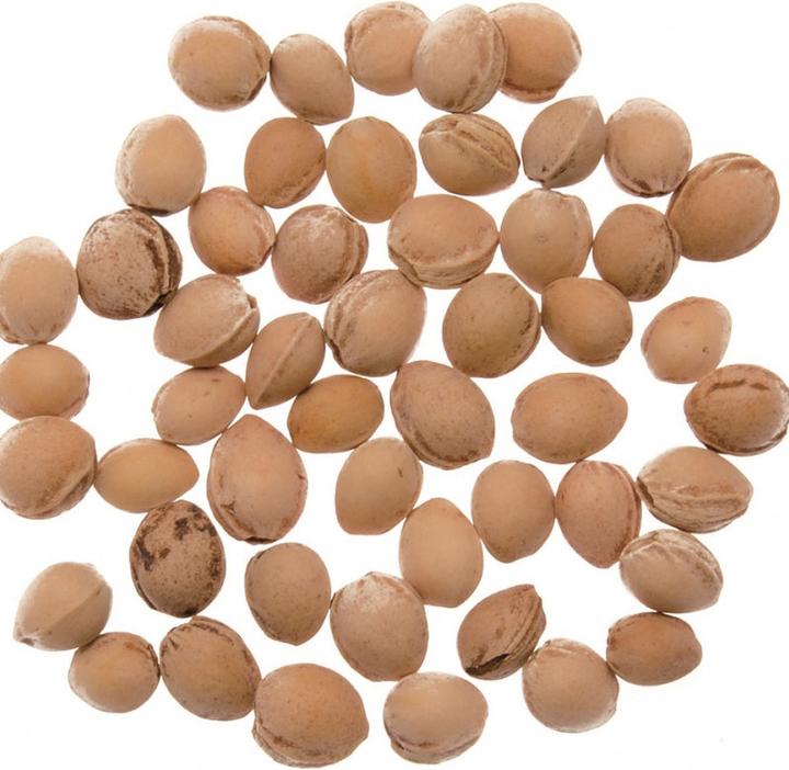 Image du produit Glorex Noyaux de cerise 500 g