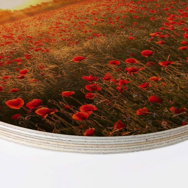 Actual product image Trenddeko Poppy field in sunset (Ø 30 cm)