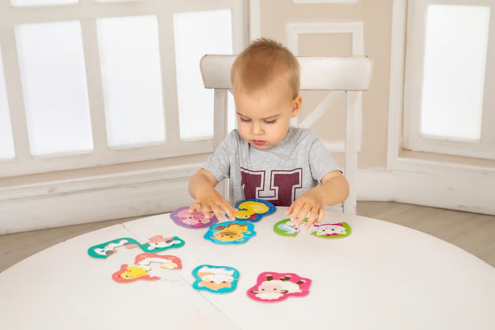 Actual product image Montessori Outline Puzzle -Halves Educational Toy