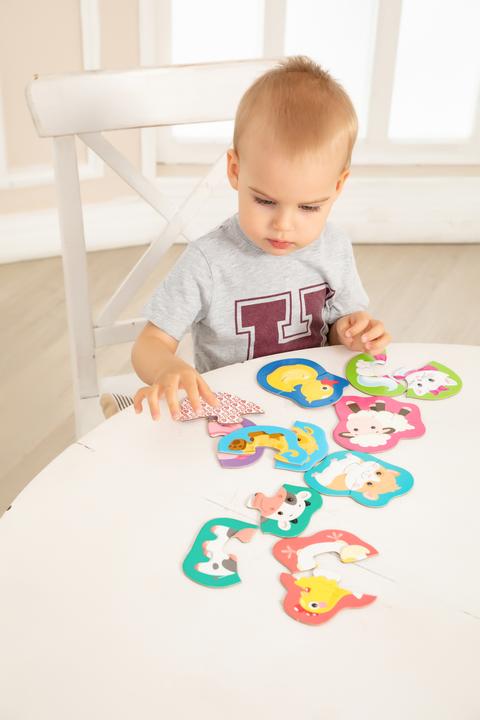 Actual product image Montessori Outline Puzzle -Halves Educational Toy
